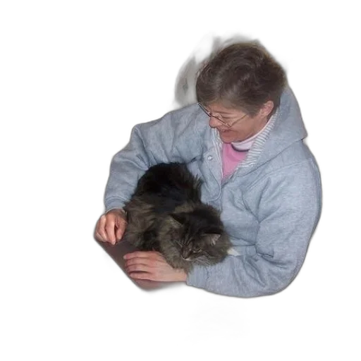 staff, animal, creature, jewelry transparent PNG cut-out