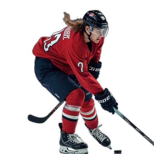 hair, animal, hockey, player transparent PNG cut-out