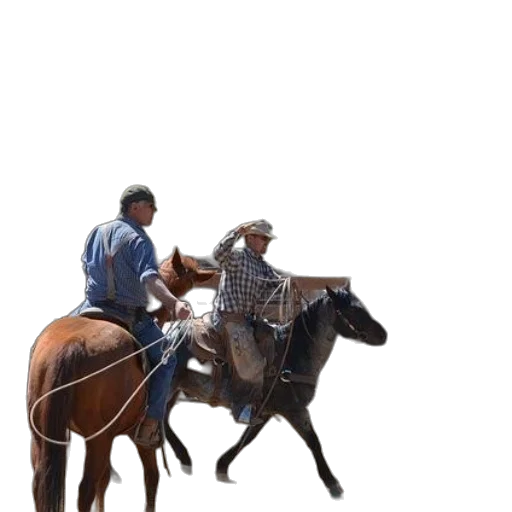 animal, hat, staff, jacket transparent PNG cut-out