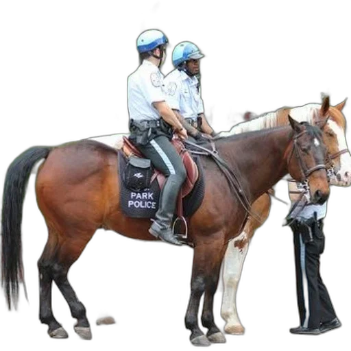 staff, animal, concept art, two transparent PNG cut-out