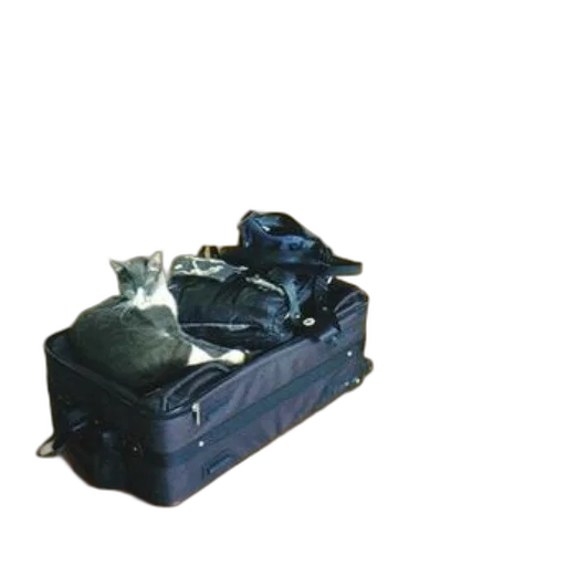 furniture, robot, weapon, jewelry transparent PNG cut-out