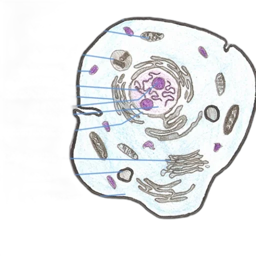 mask, jewelry, robot, crown transparent PNG cut-out