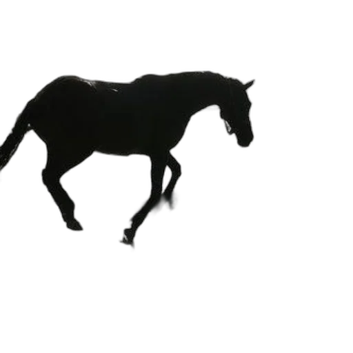 animal, creature, dragon, staff transparent PNG cut-out