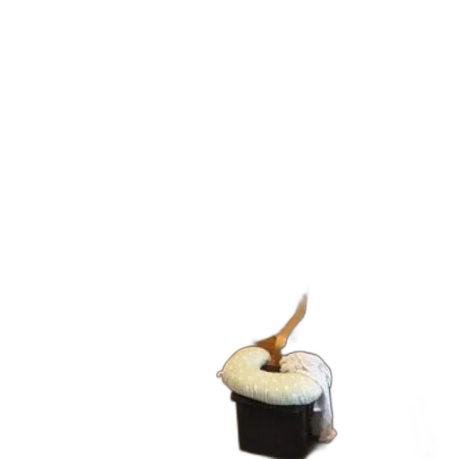 food, staff, furniture, jewelry transparent PNG cut-out