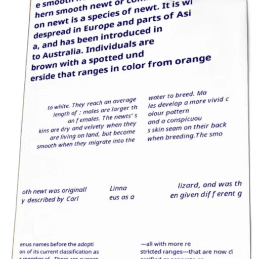 text-based, description, smooth, newt transparent PNG cut-out