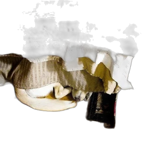 shoes, bottle, mask, weapon transparent PNG cut-out