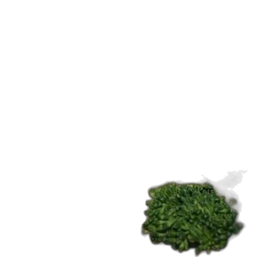 tree, crown, dragon, hair transparent PNG cut-out