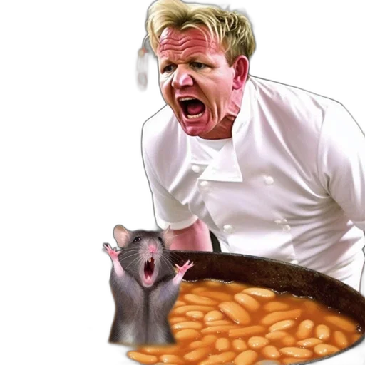 food, animal, creature, hair transparent PNG cut-out