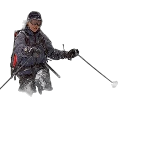 staff, weapon, sword, animal transparent PNG cut-out