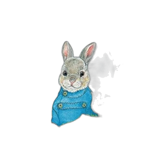 jacket, animal, creature, dress transparent PNG cut-out