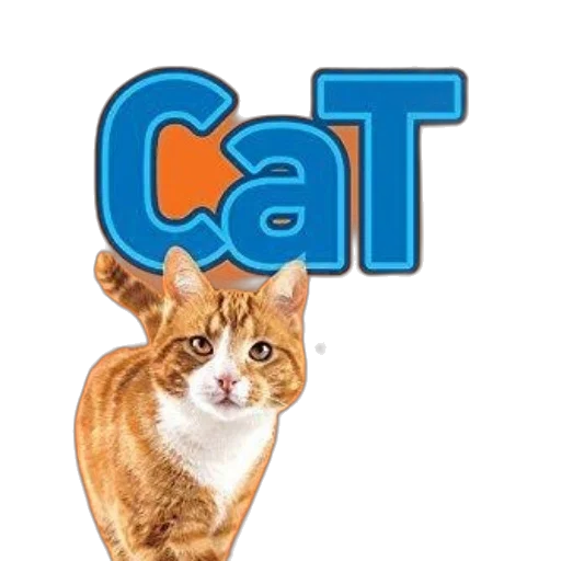 animal, staff, hat, creature transparent PNG cut-out