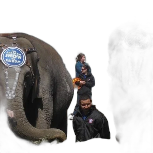 animal, staff, creature, jacket transparent PNG cut-out