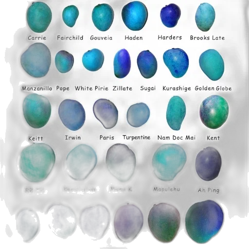 jewelry, bottle, mask, vaporwave transparent PNG cut-out