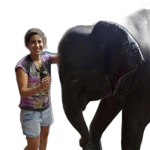 animal, creature, photorealistic, 3d render transparent PNG cut-out