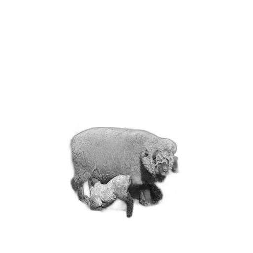 animal, creature, food, weapon transparent PNG cut-out
