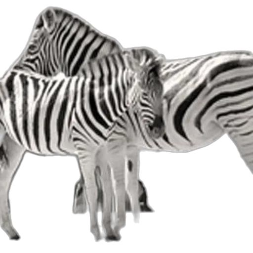 animal, creature, jewelry, furniture transparent PNG cut-out