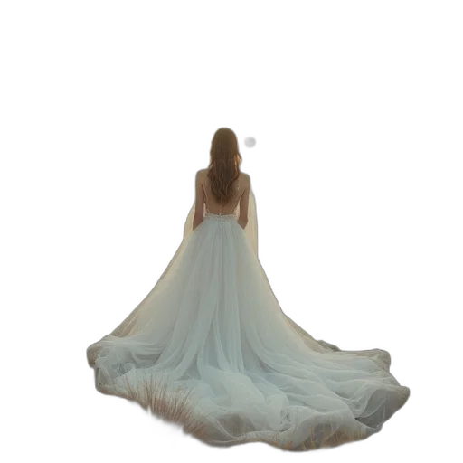 dress, crown, jewelry, hair transparent PNG cut-out
