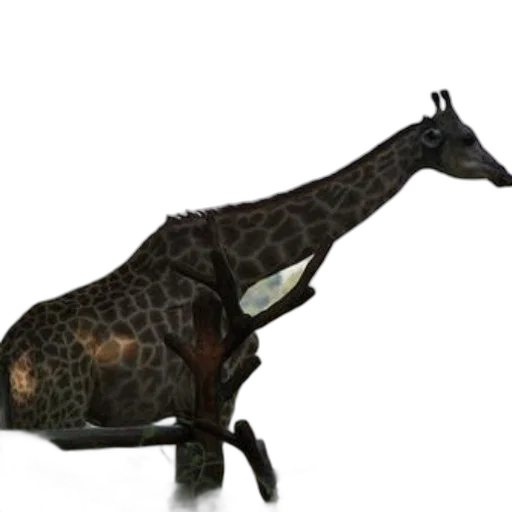 animal, staff, creature, dragon transparent PNG cut-out