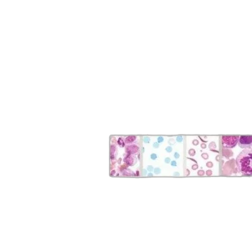 jewelry, sword, flower, staff transparent PNG cut-out