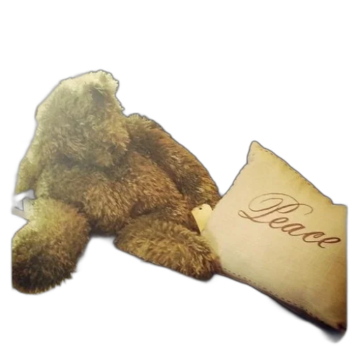 teddy, bear, sits, bench transparent PNG cut-out
