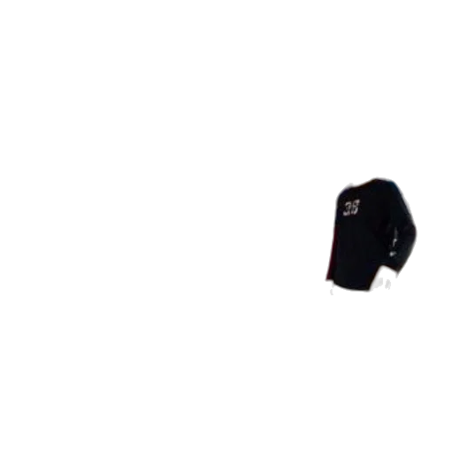 jacket, hat, dress, staff transparent PNG cut-out