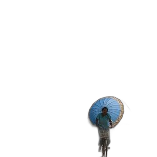 umbrella, staff, hat, jacket transparent PNG cut-out