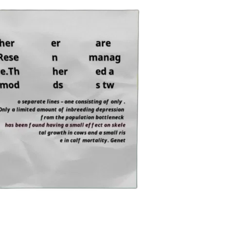 document, text, discussing, management transparent PNG cut-out