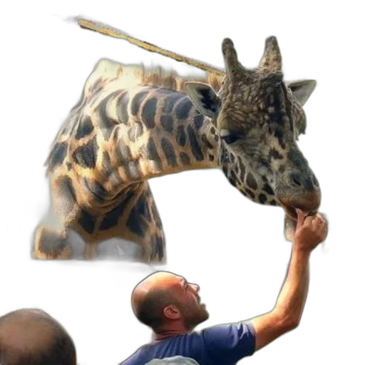animal, creature, weapon, staff transparent PNG cut-out