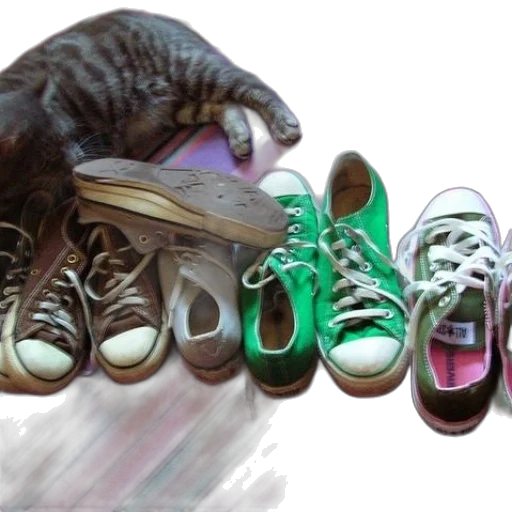 shoes, photorealistic, watercolor, concept art transparent PNG cut-out