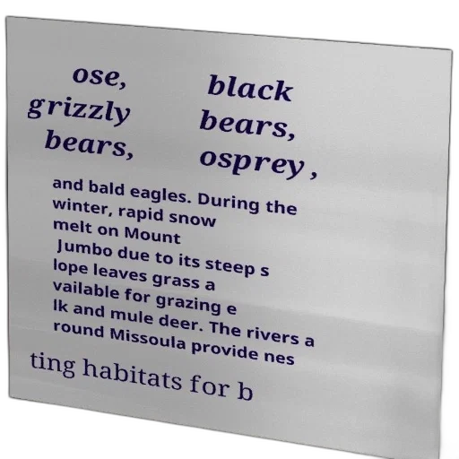 jewelry, list, animals, including transparent PNG cut-out