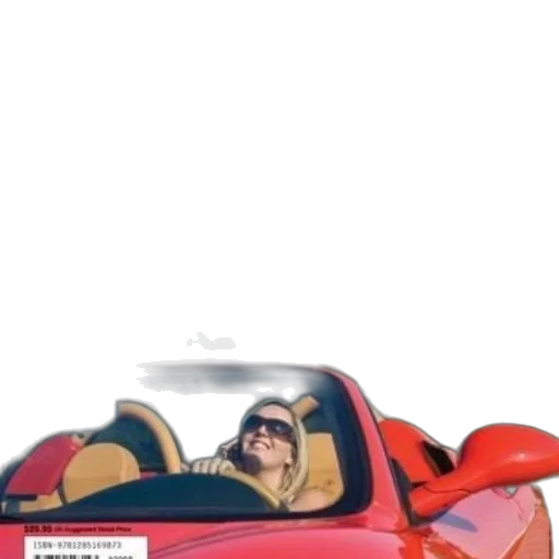 car, jacket, animal, concept art transparent PNG cut-out
