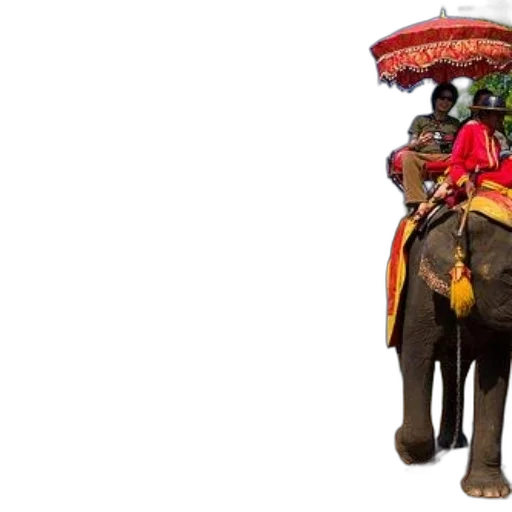 person, rides, elephant, near transparent PNG cut-out