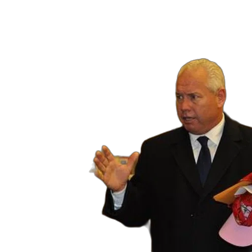 hat, jacket, staff, creature transparent PNG cut-out