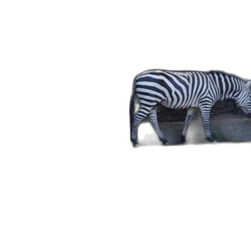 furniture, animal, creature, car transparent PNG cut-out