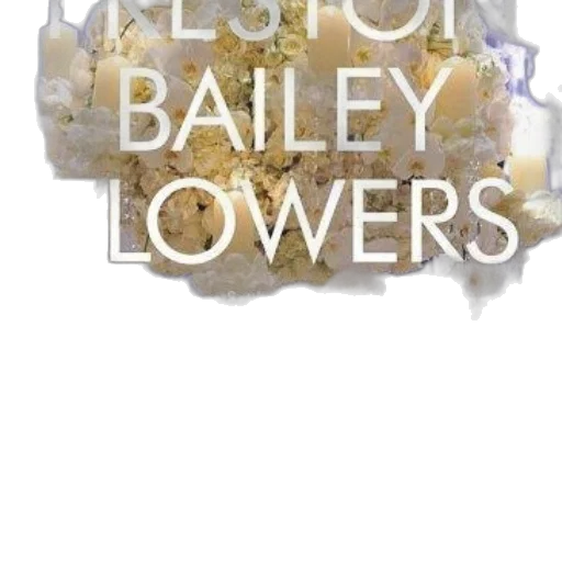 flower, jewelry, crown, earth tones transparent PNG cut-out