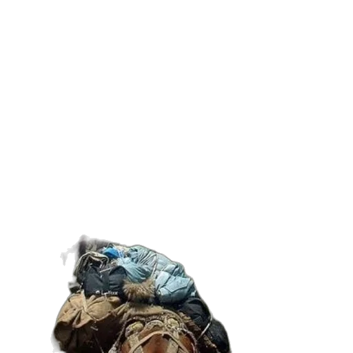 hat, jacket, shoes, crown transparent PNG cut-out