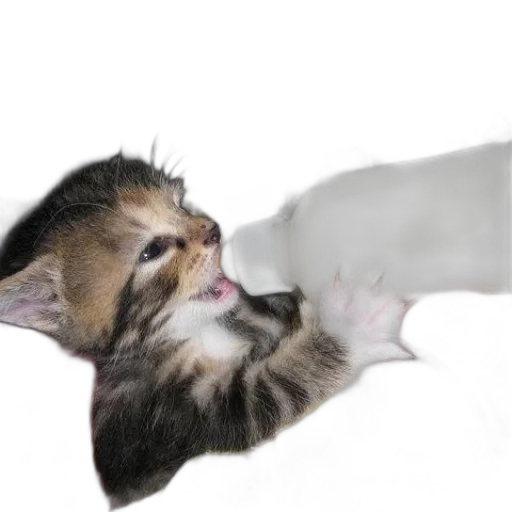 animal, creature, weapon, staff transparent PNG cut-out
