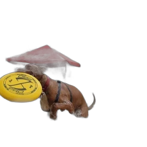 umbrella, staff, food, weapon transparent PNG cut-out