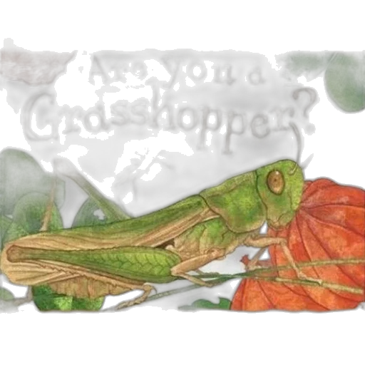 creature, dragon, photorealistic, watercolor transparent PNG cut-out