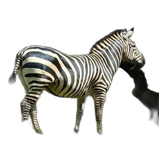 animal, creature, staff, 3d render transparent PNG cut-out