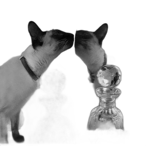 bottle, robot, jewelry, animal transparent PNG cut-out