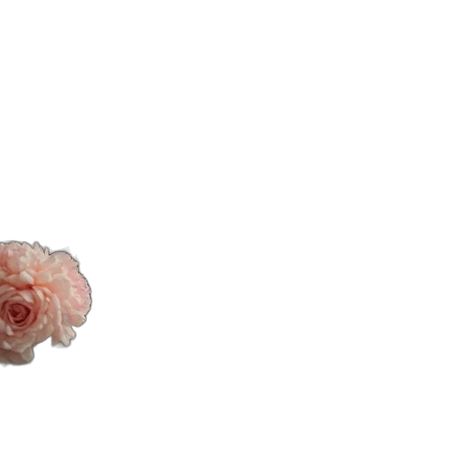 flower, crown, jewelry, hair transparent PNG cut-out