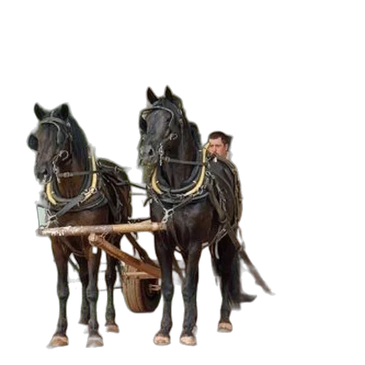 staff, furniture, car, animal transparent PNG cut-out