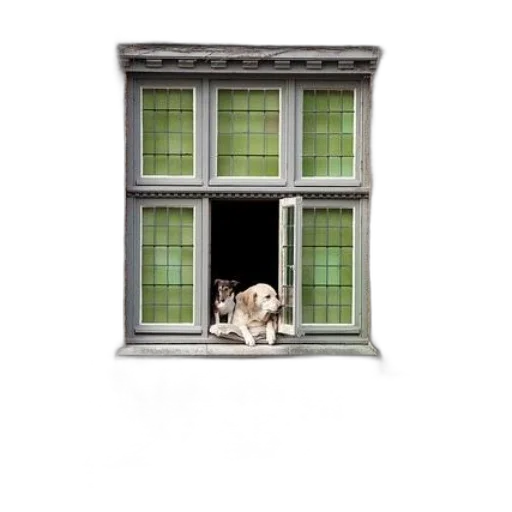 animal, building, furniture, face transparent PNG cut-out