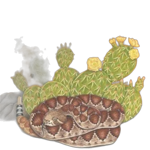 crown, hat, dragon, food transparent PNG cut-out
