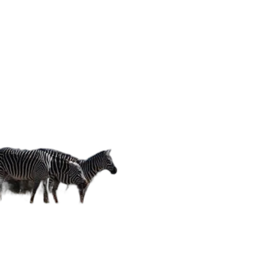 animal, creature, hair, weapon transparent PNG cut-out