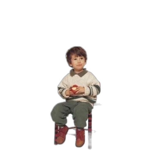shoes, furniture, food, animal transparent PNG cut-out