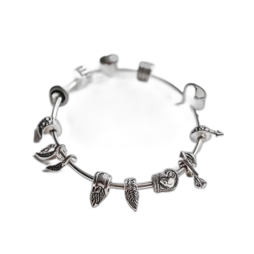 jewelry, crown, silver, bangle transparent PNG cut-out