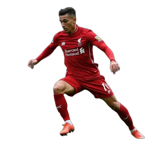 animal, liverpool, charlton, player transparent PNG cut-out