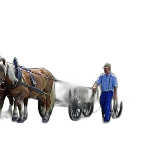 staff, car, animal, robot transparent PNG cut-out